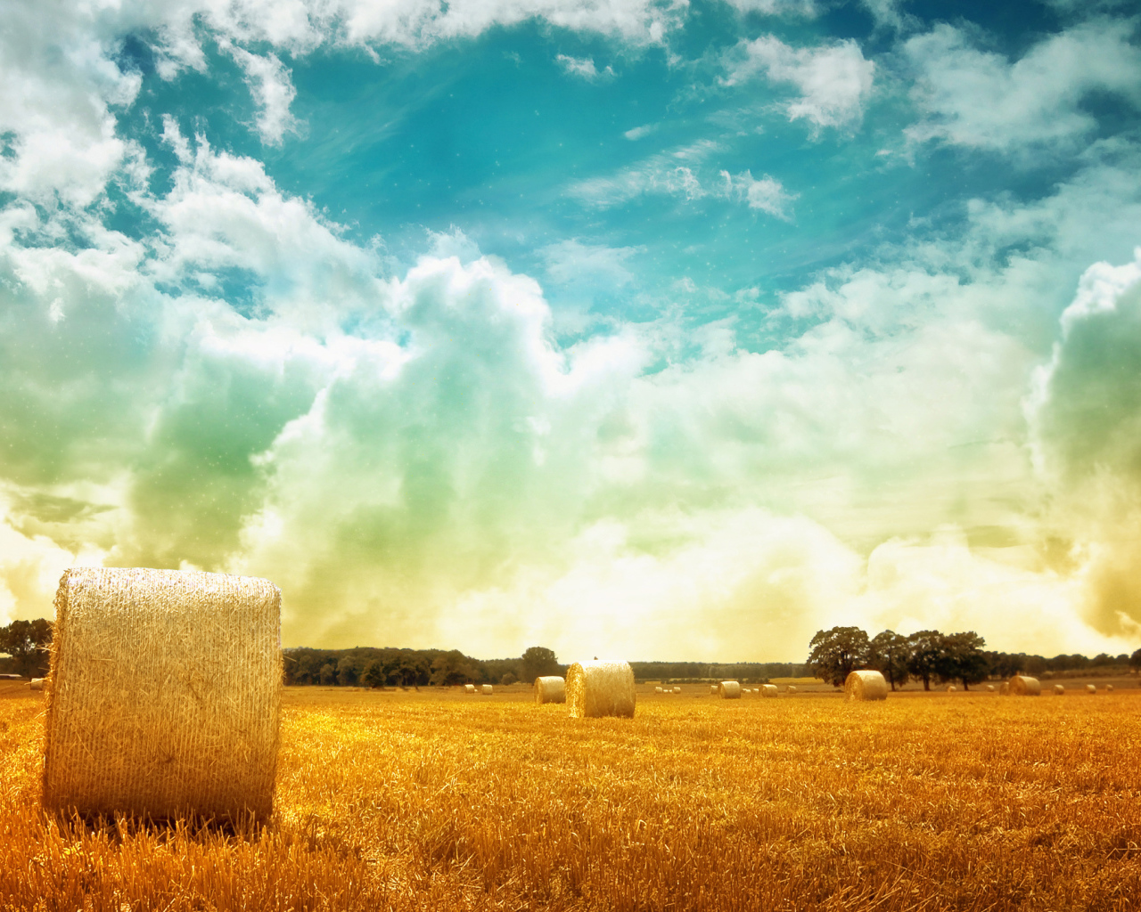 Скошенное поле