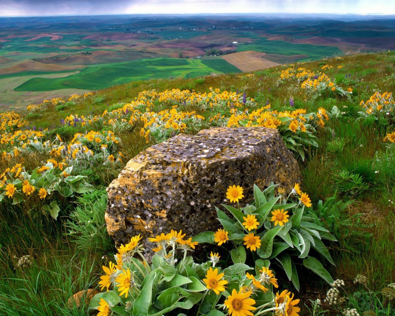 Пейзаж штата Вашингтон