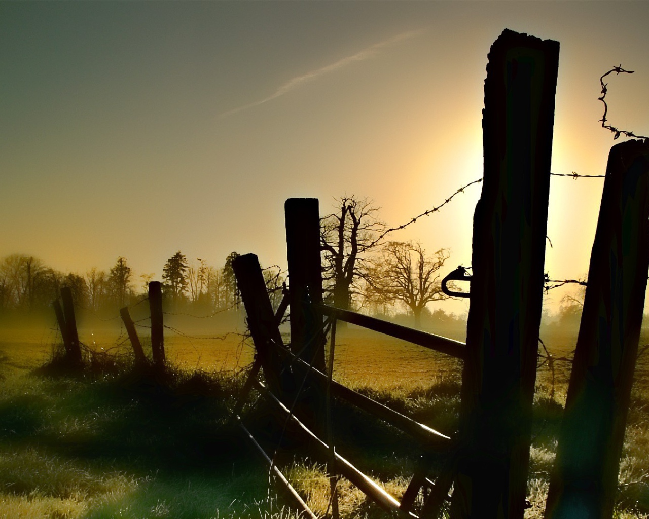 Старая ограда из колючей проволоки