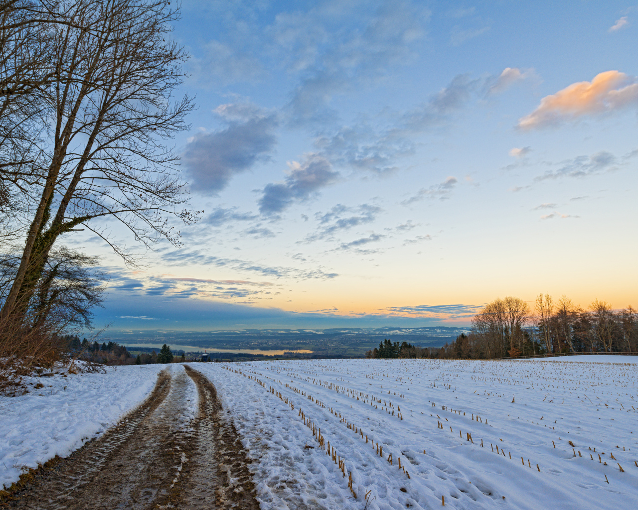 Дорога в зимнем поле