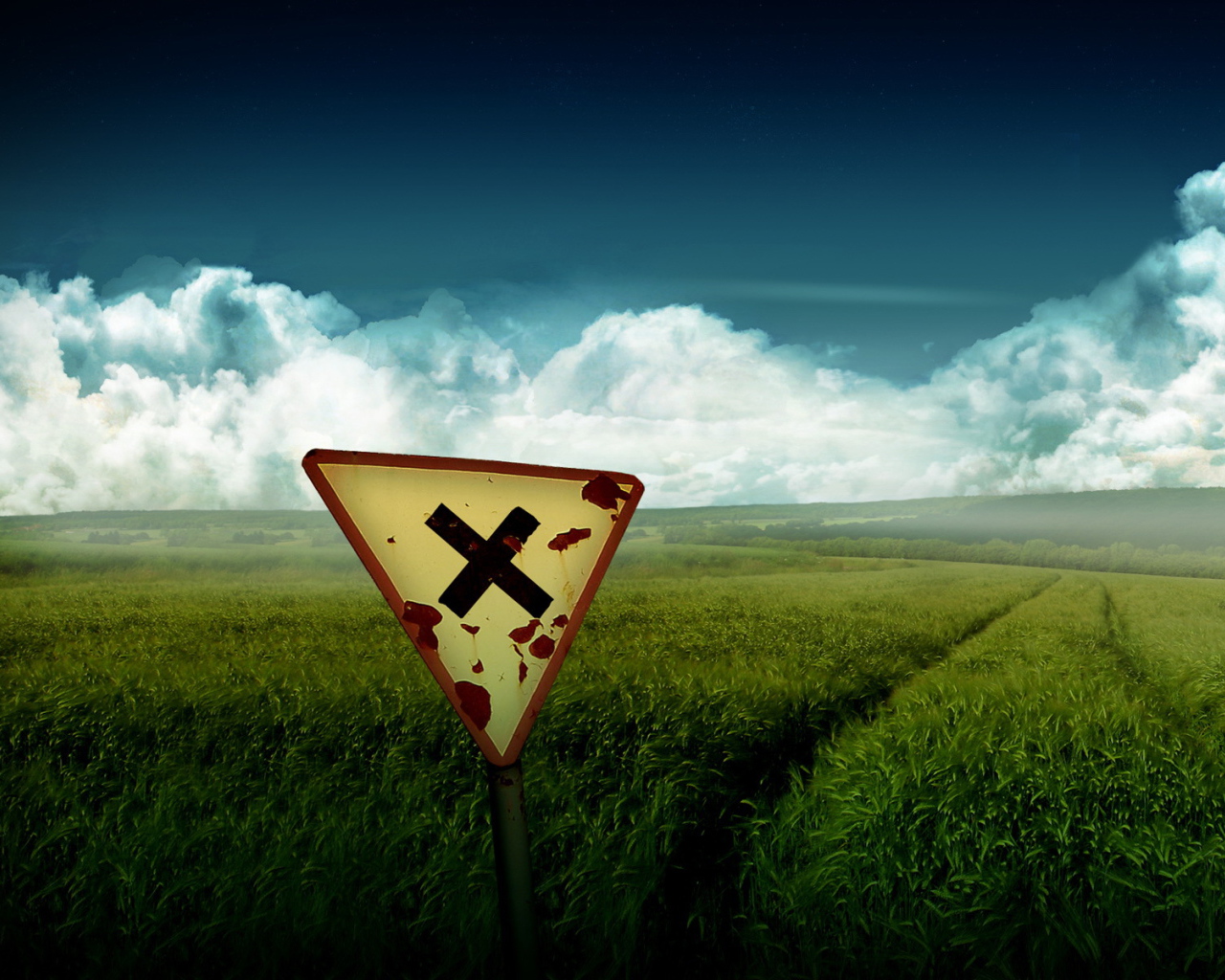 Знак на поле