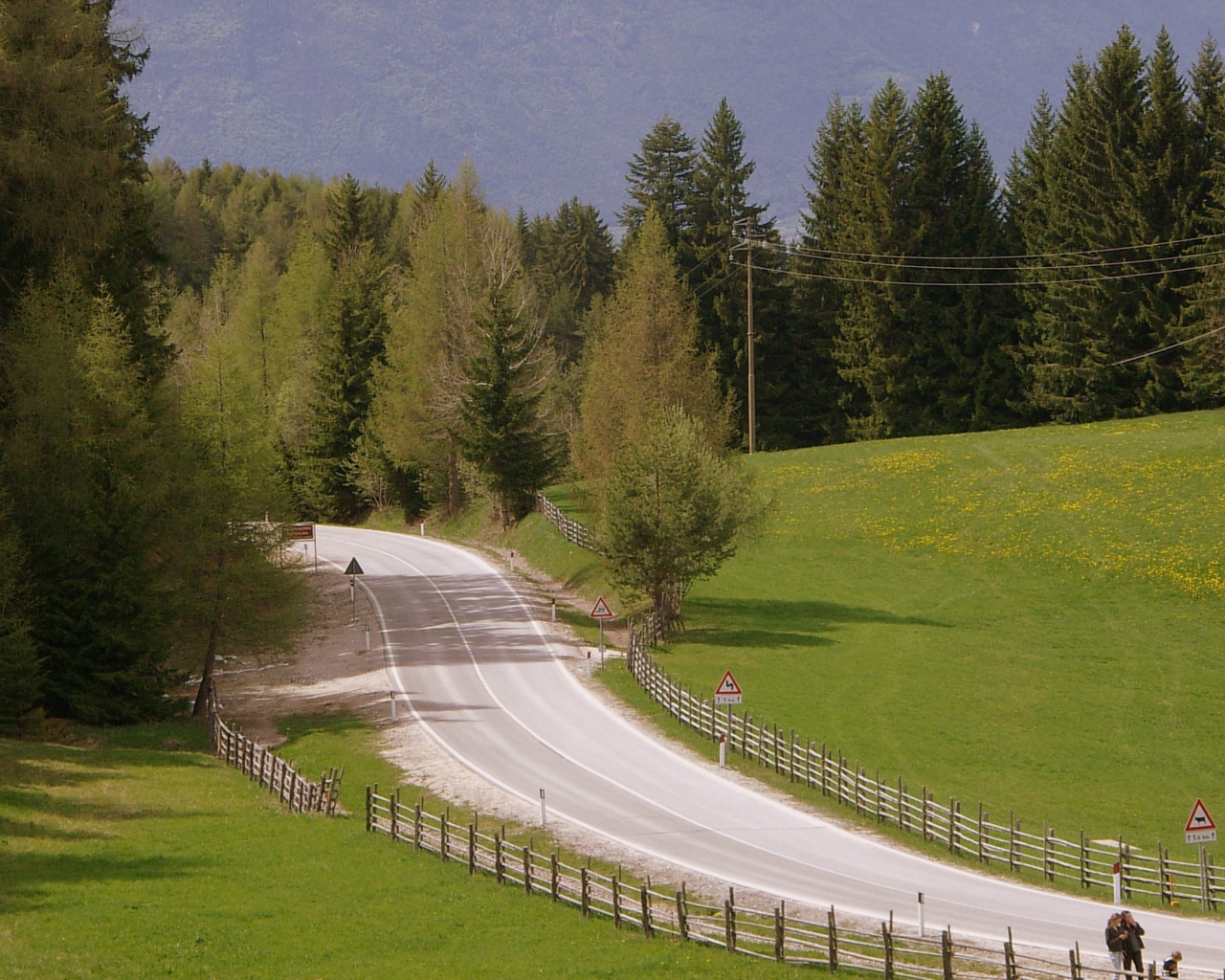 Забор вдоль дорги