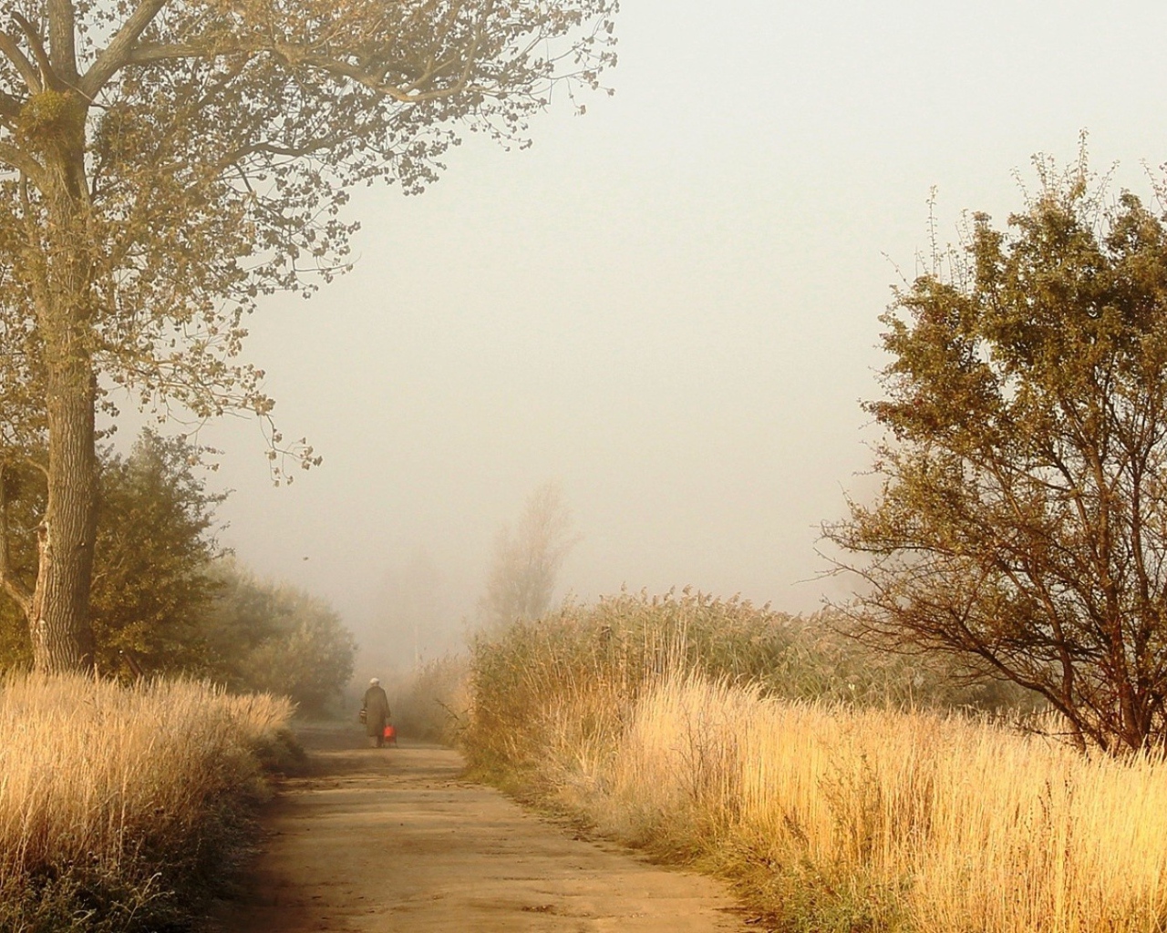 Одинокий человек на дороге