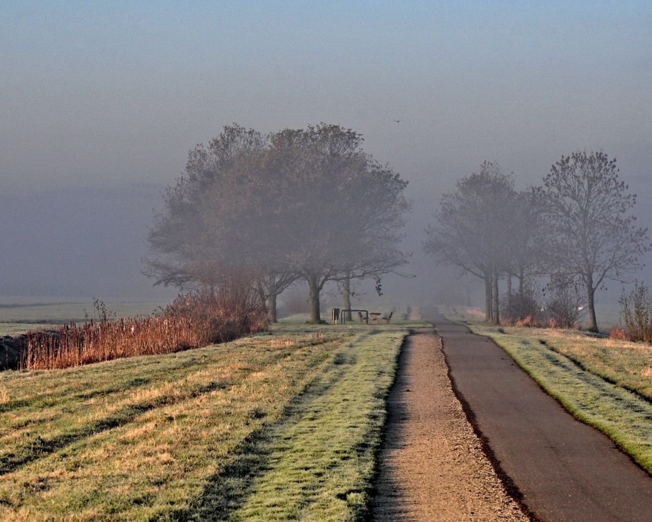 Дорога ведущая в туман