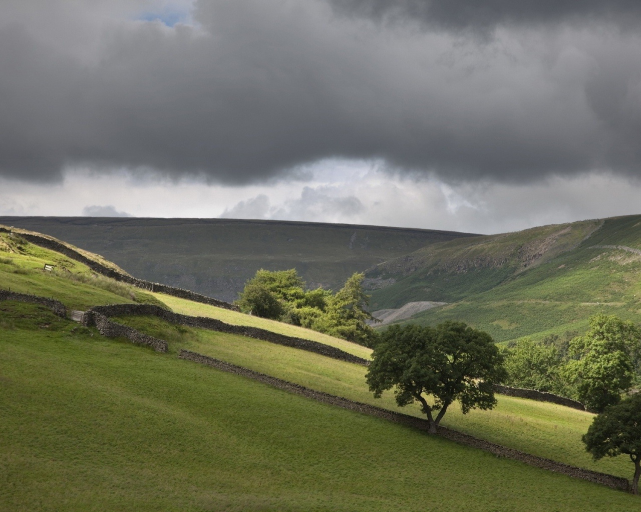 Поля огороженные заборами