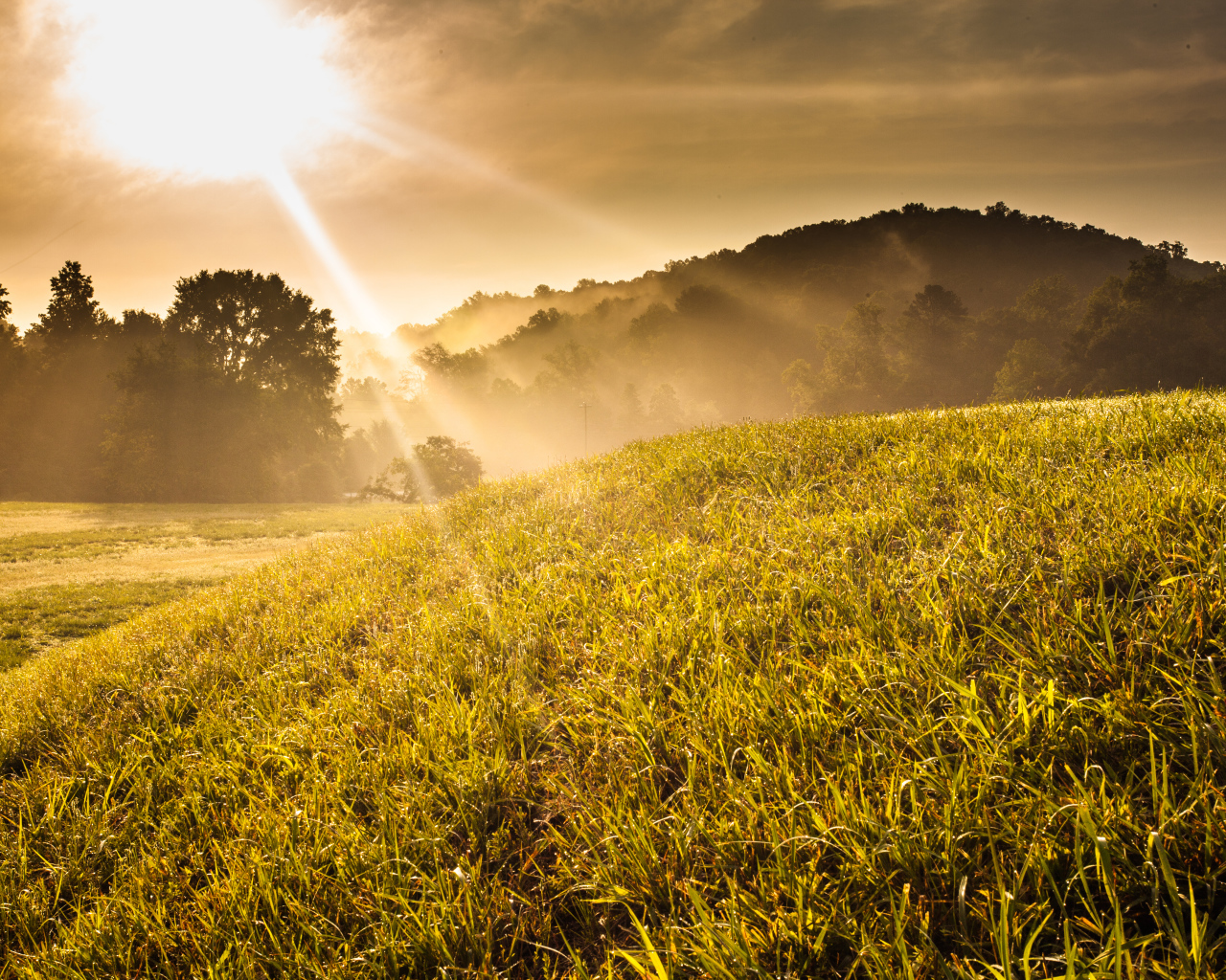 Холм в солнечных лучах
