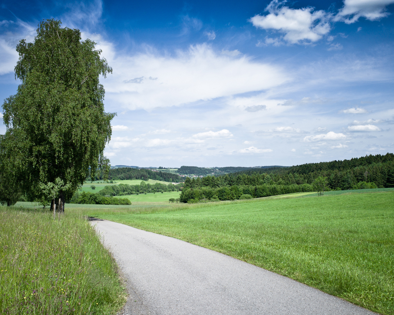 Дорога через поле