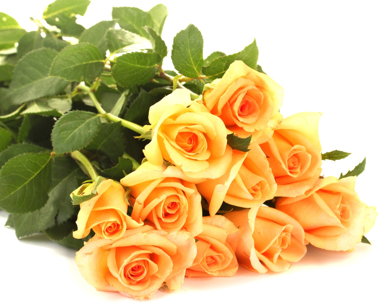 Букет оранжевых роз