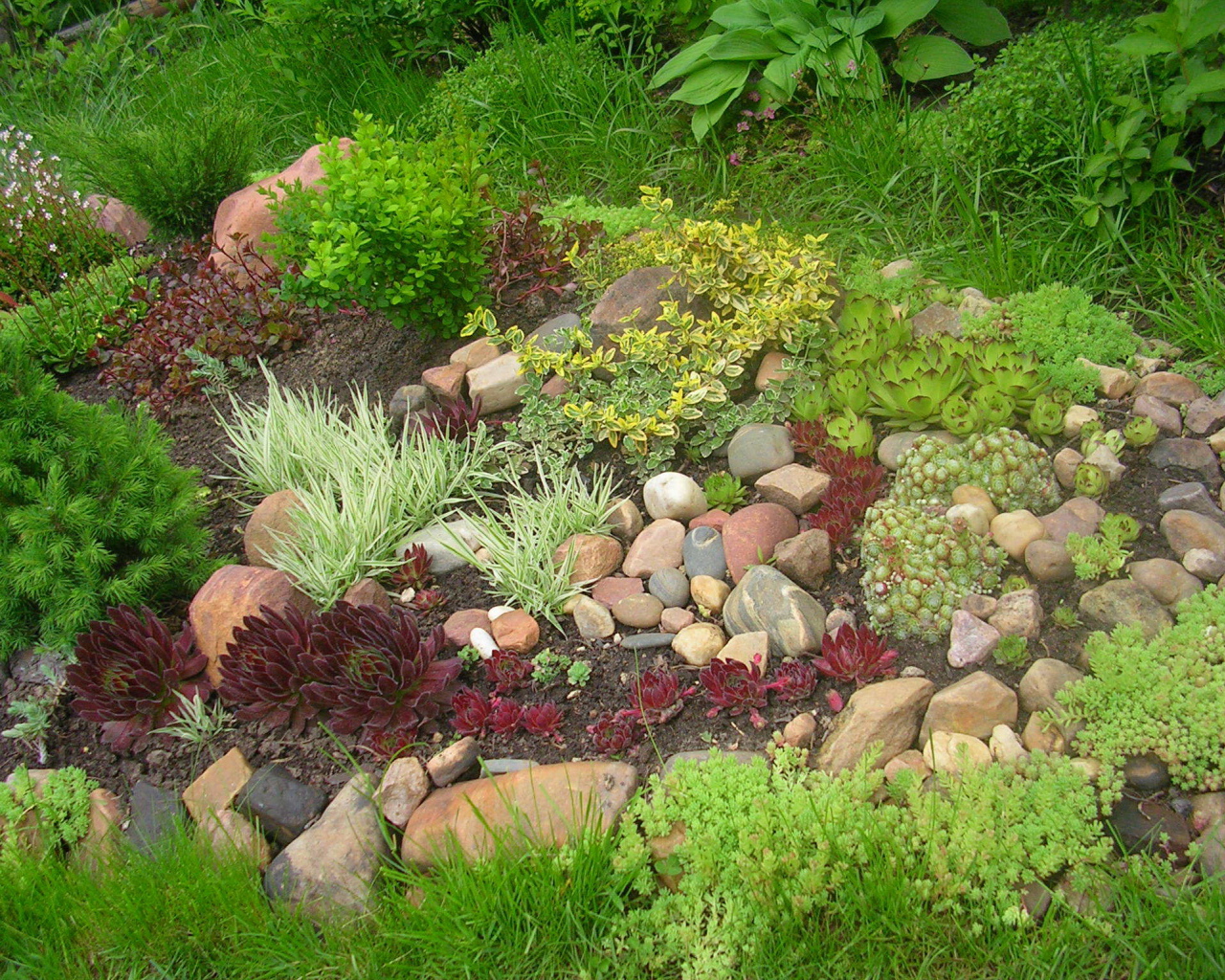 На дачном участке красивая альпийская горка