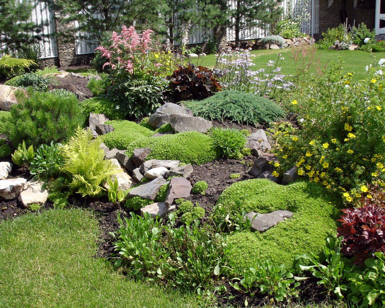 Красивая альпийская горка на дачном участке