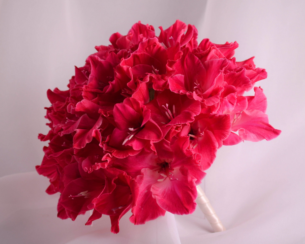 Красивый букет глаидоулс