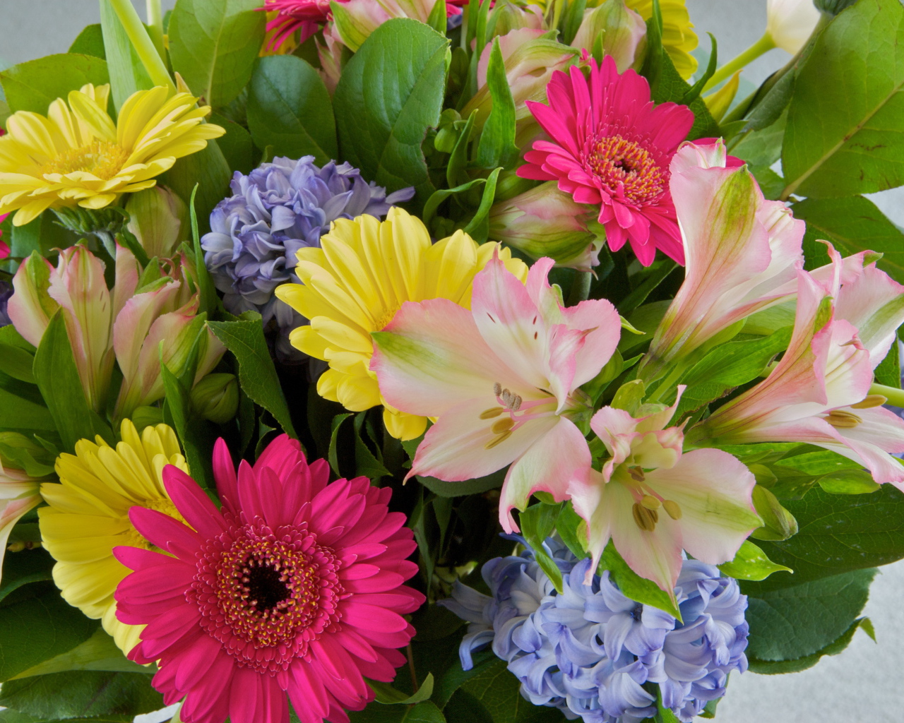 Красивый букет цветов гербера