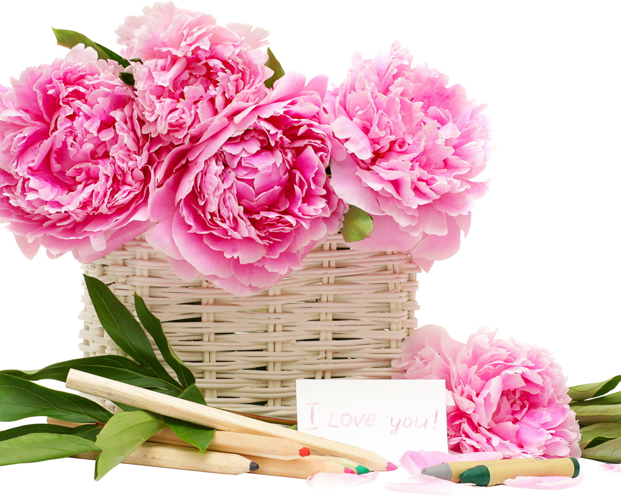 Красивый рисунок цветы пионы