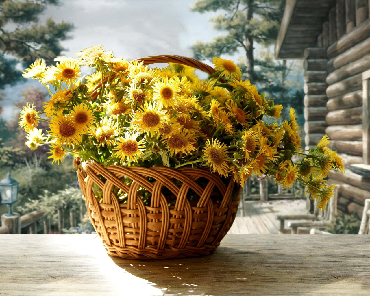 Красивые цветы хризантема в корзине