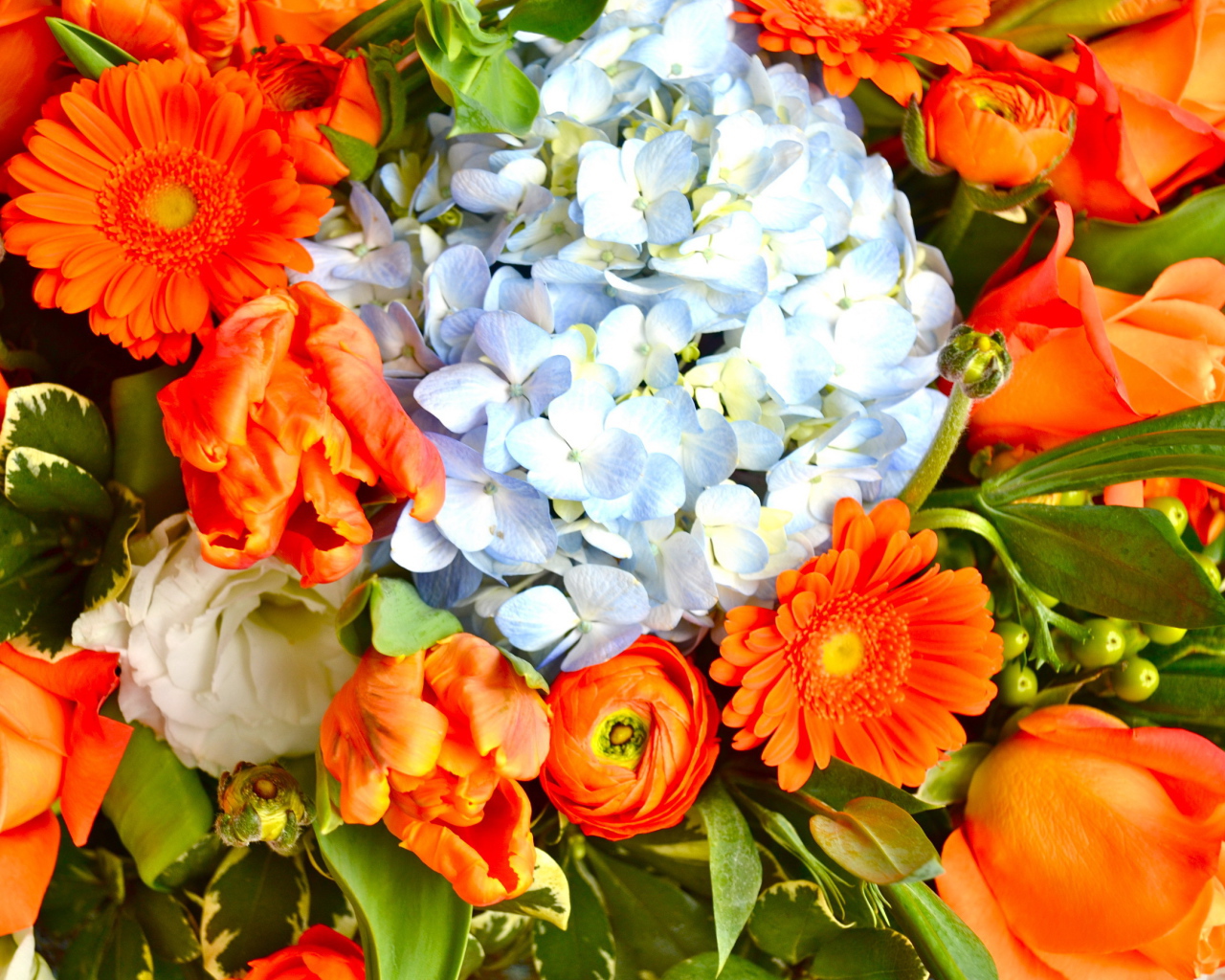 Красивые цветы гербера в парке