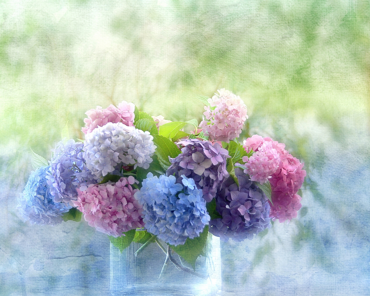 Красивые цветы гортензия в вазе