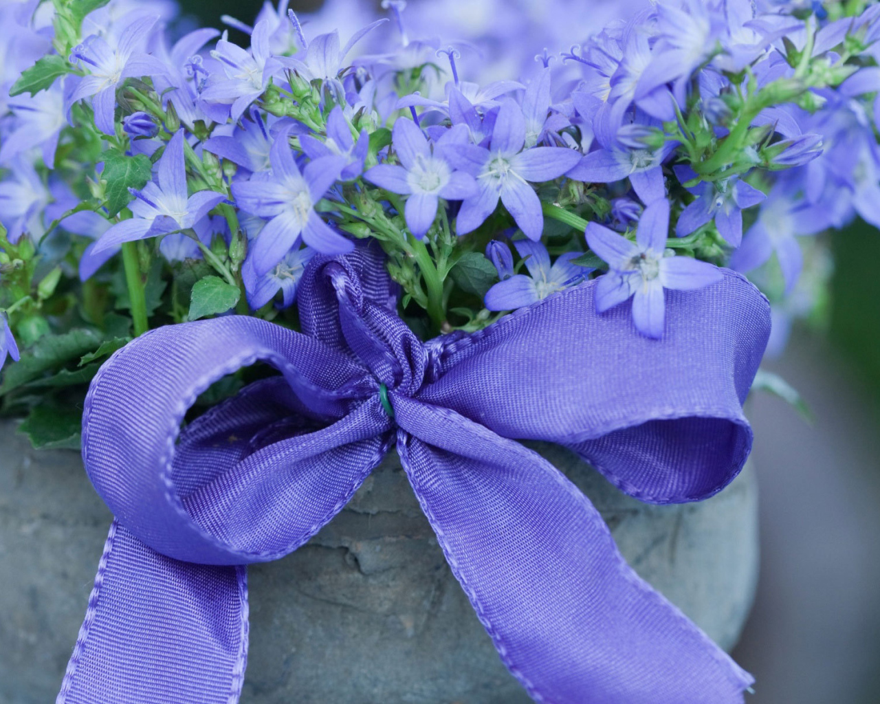 Колокольчики в горшке