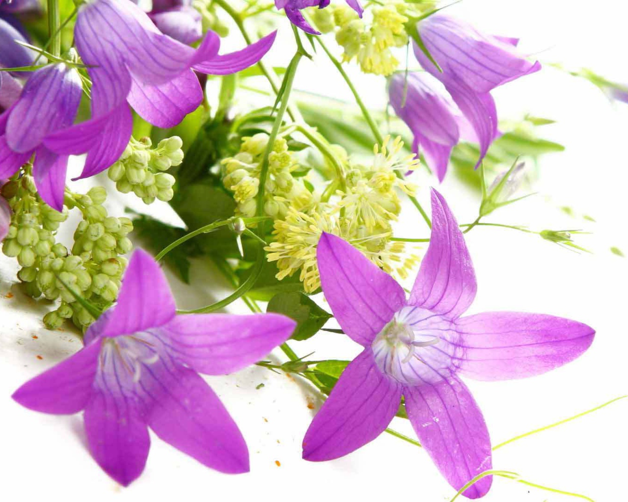 Букет из колокольчиков