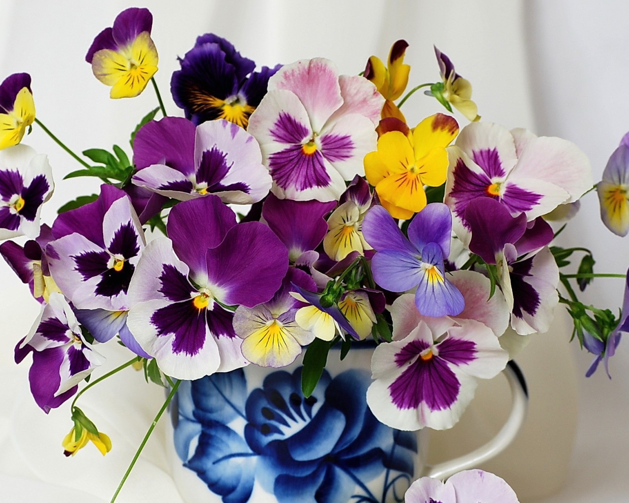 Букет цветов виола (фиалка,анютины глазки) 