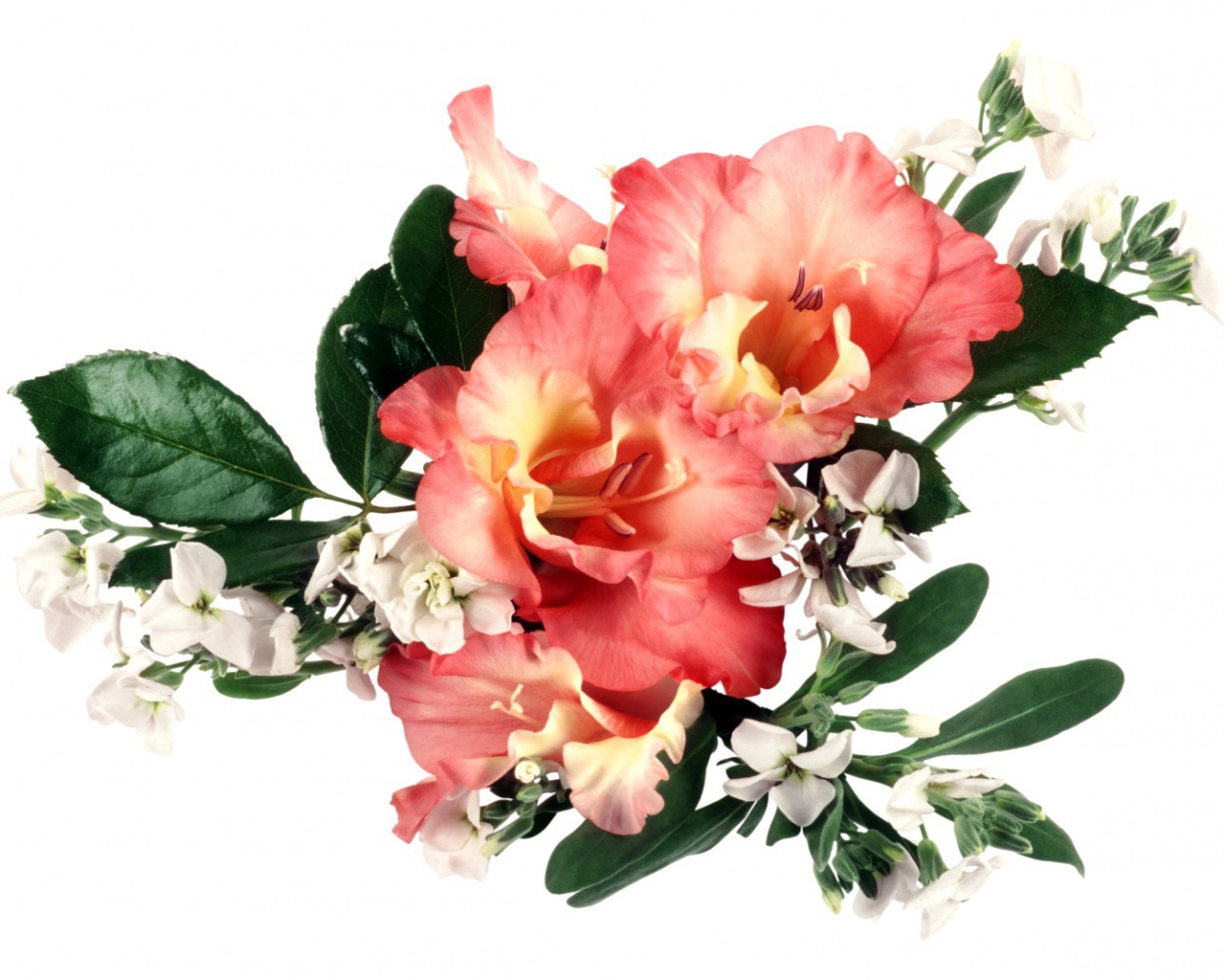 Букет оранжевых гладиолусов