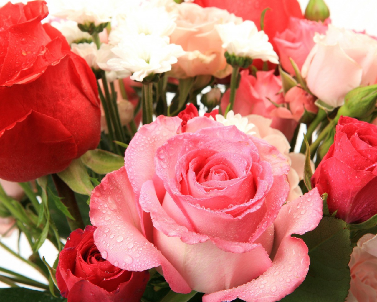 Букет из влажных роз