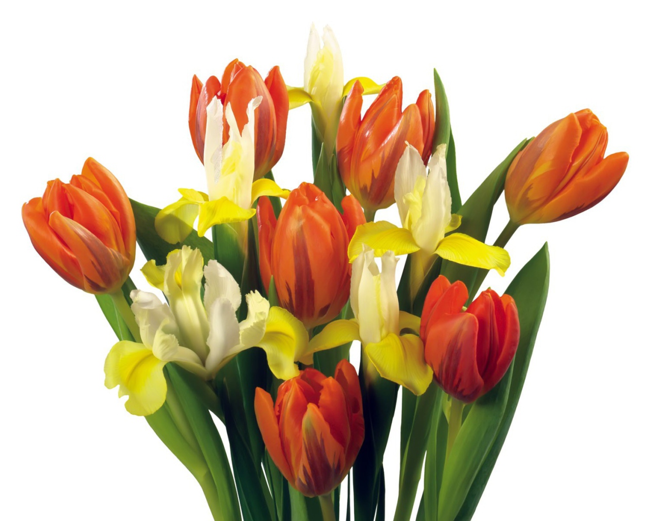 Букет тюльпанов и других цветов