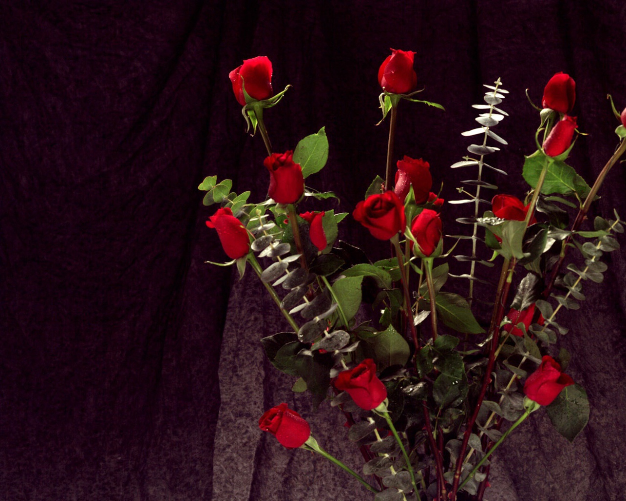 Букет красных роз