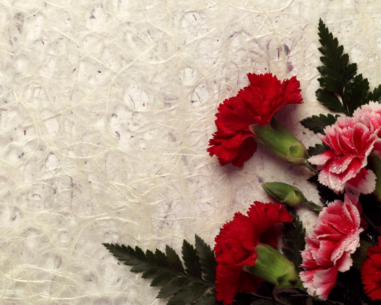 Гвоздика декор