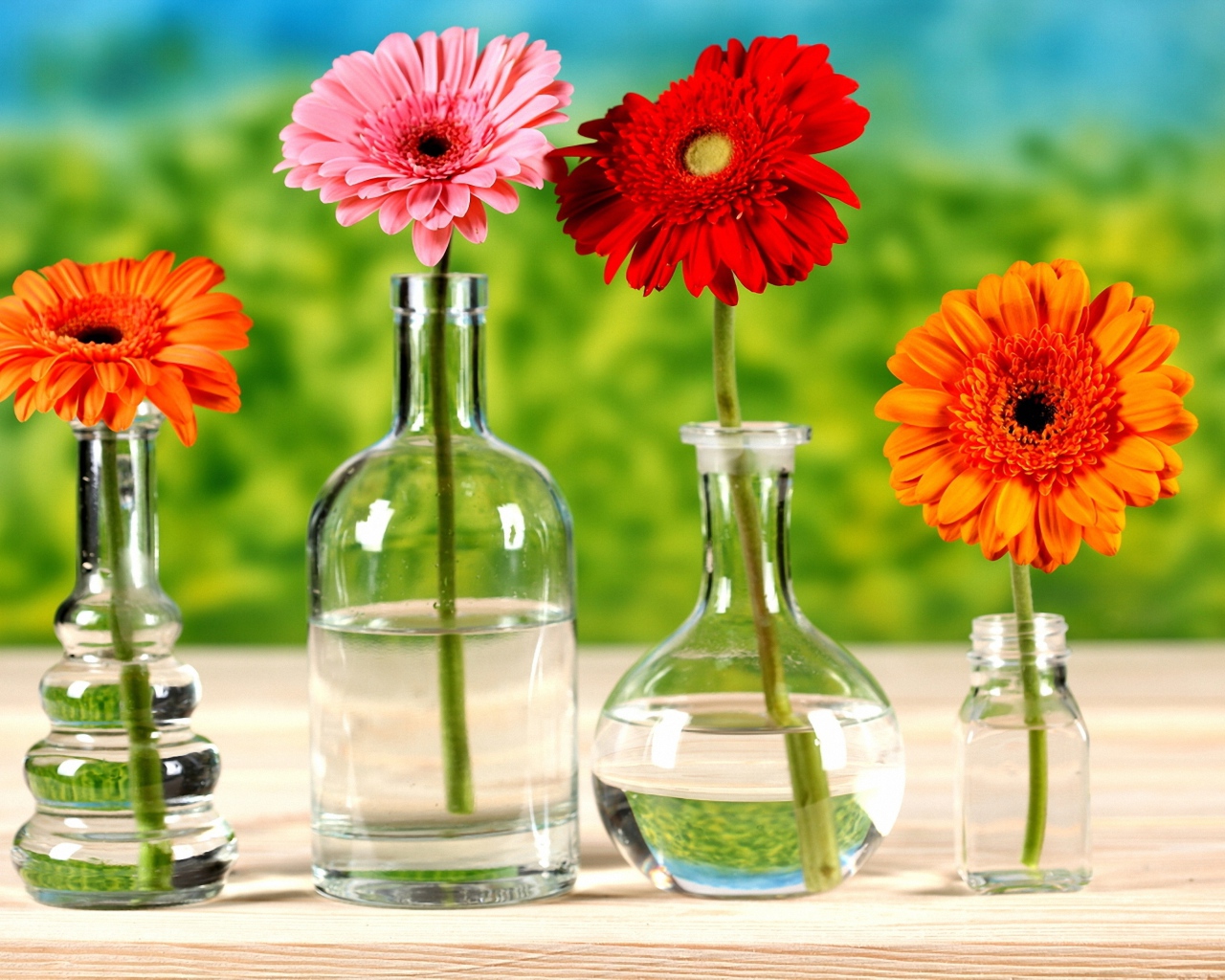 Хризантемы в бутылках