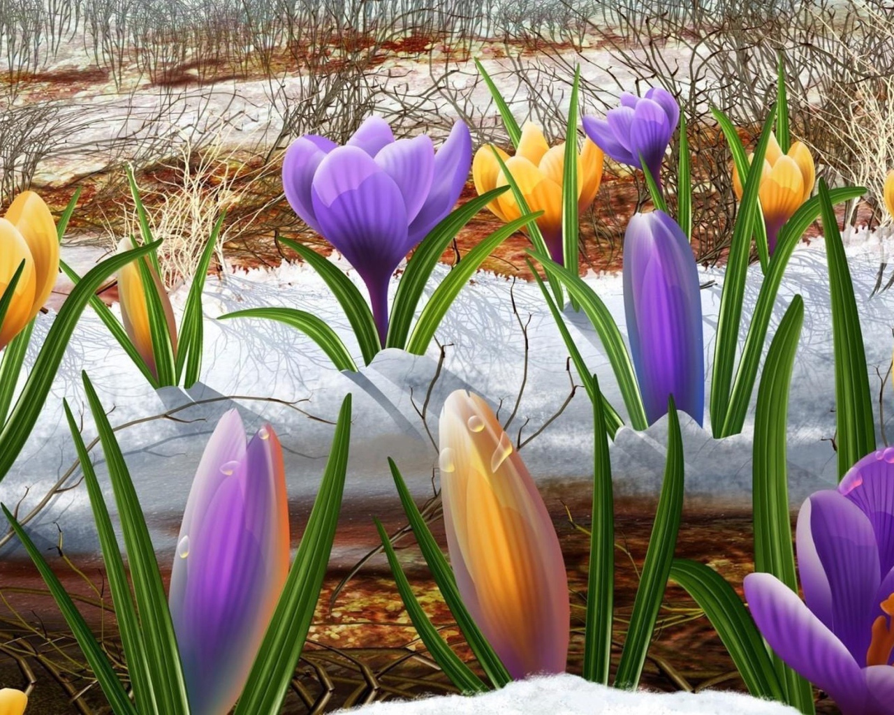 Крокусы на снегу