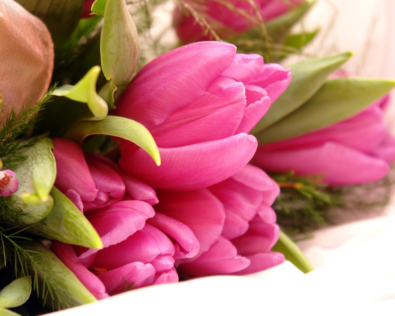 Необычные розовые цветы