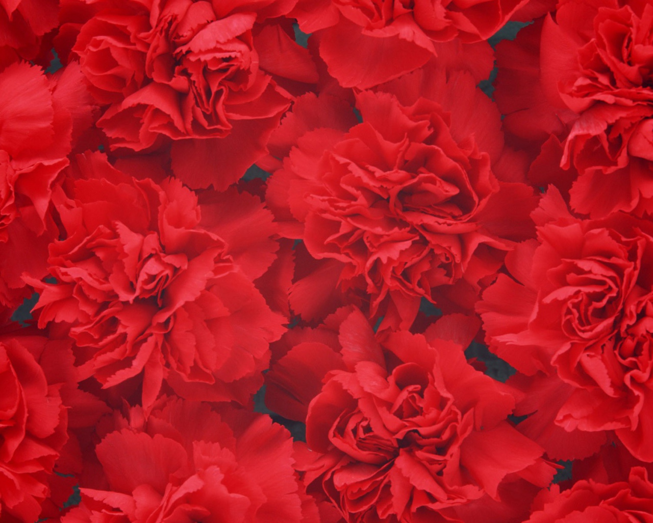 Цветочный фон