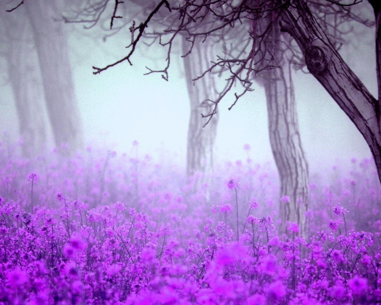 Лесные цветы