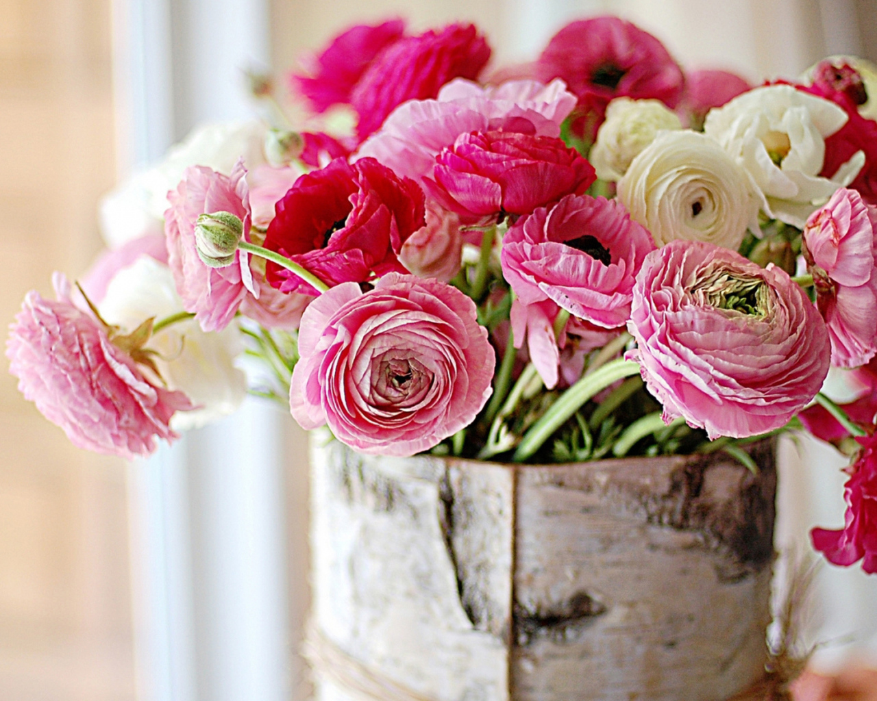 Живые цветы пионы