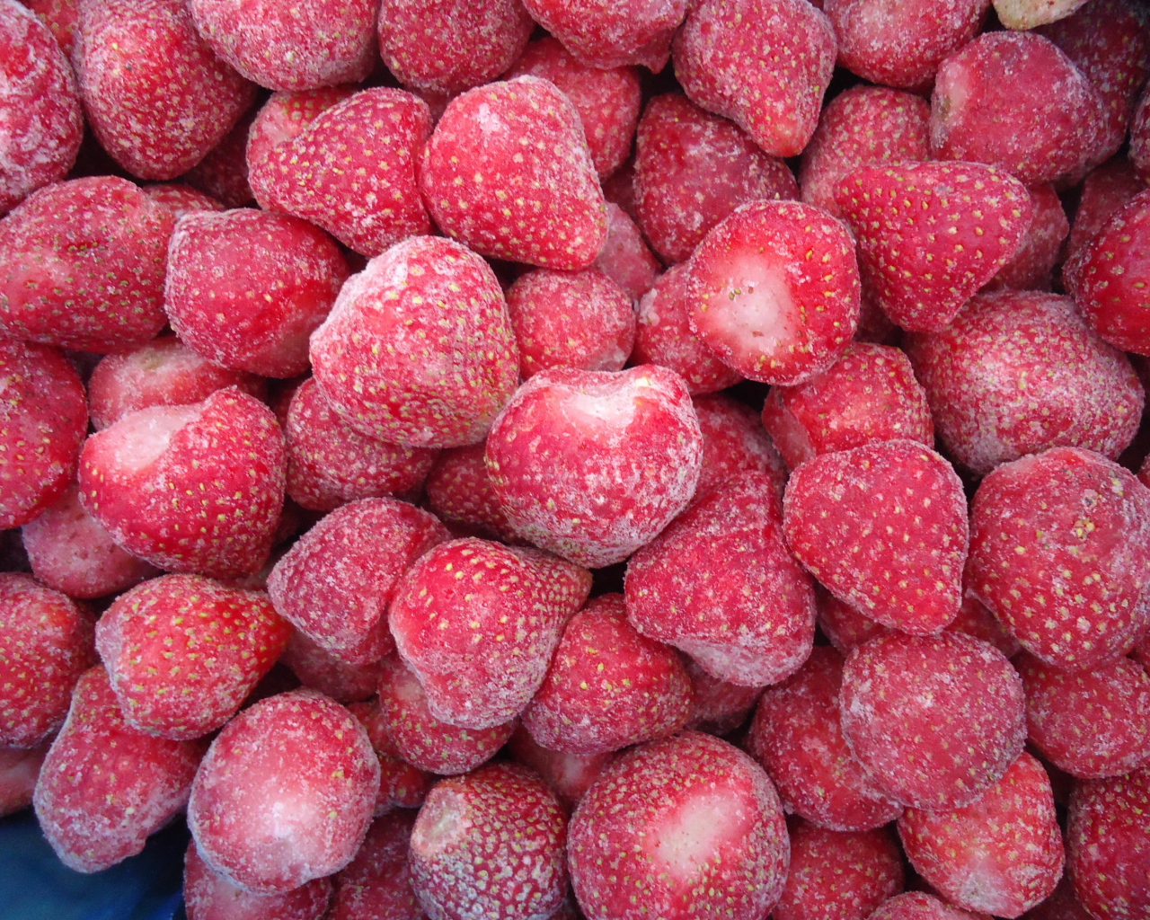 Плоды растения восковник