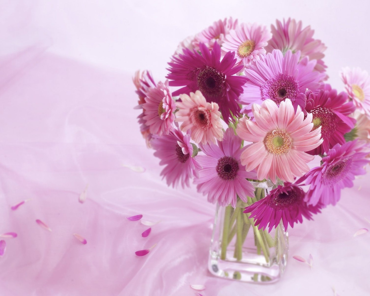 Композиция из цветов герберы 