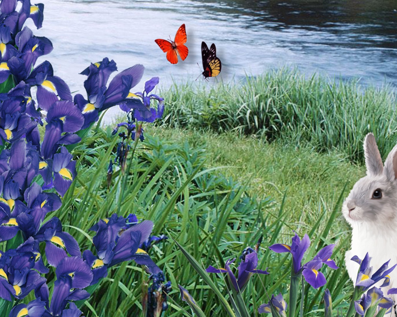 Заяц среди ирисов
