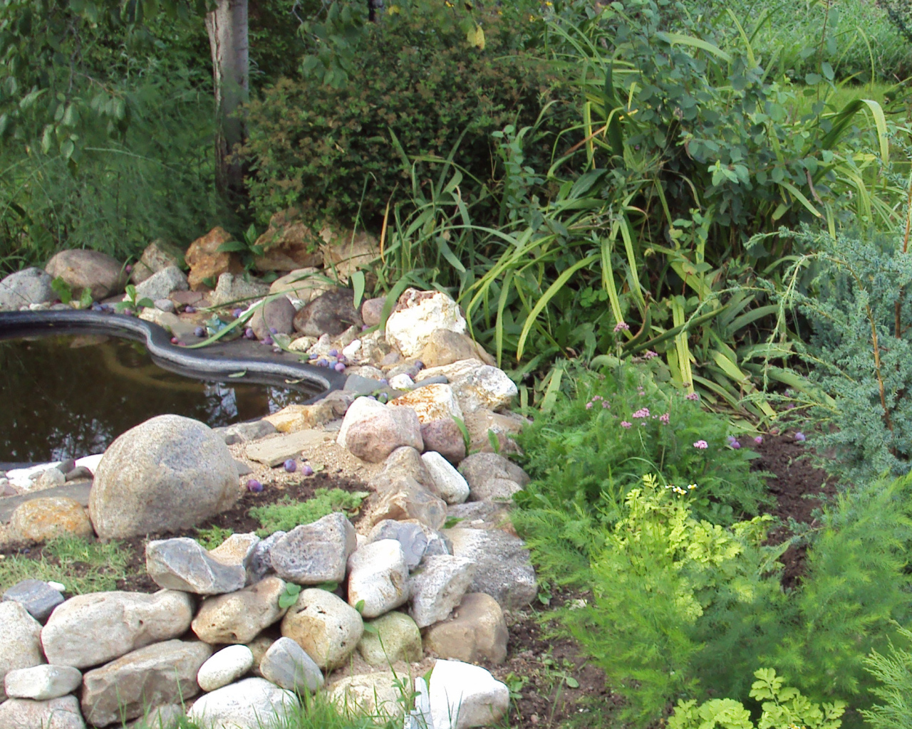 На поляне красивая альпийская горка