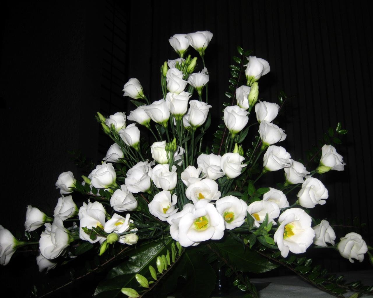 На поляне красивые цветы эустома (ирландская роза) 