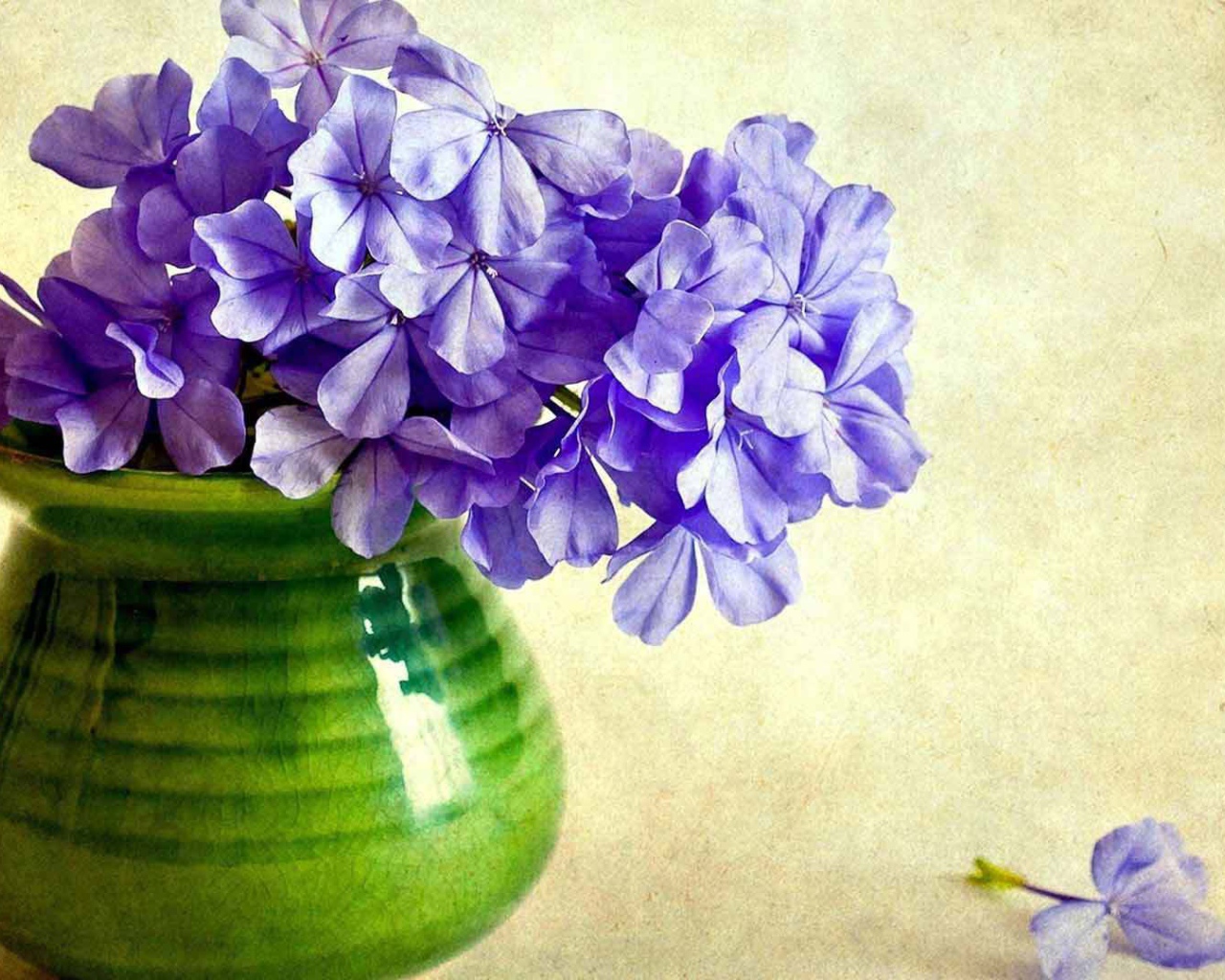 В вазе красивые цветы флокс