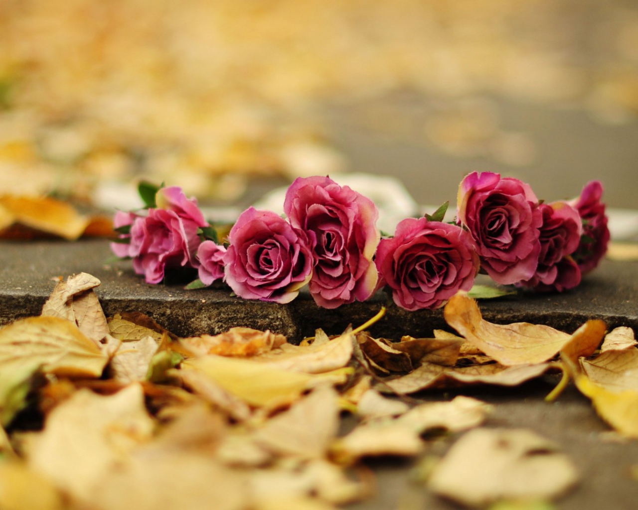 Возложеные цветы