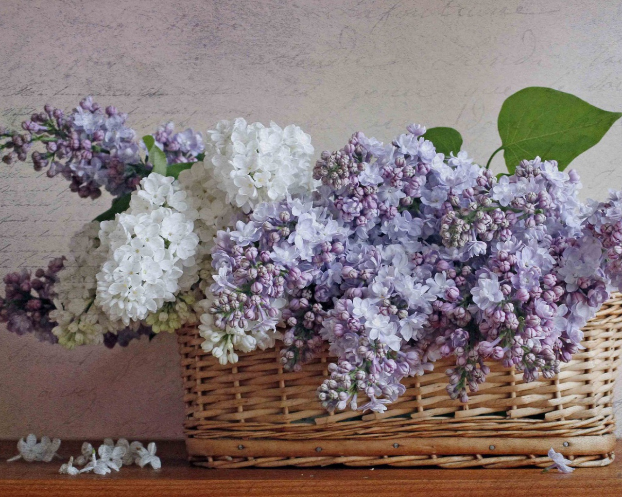 Сирень в корзине