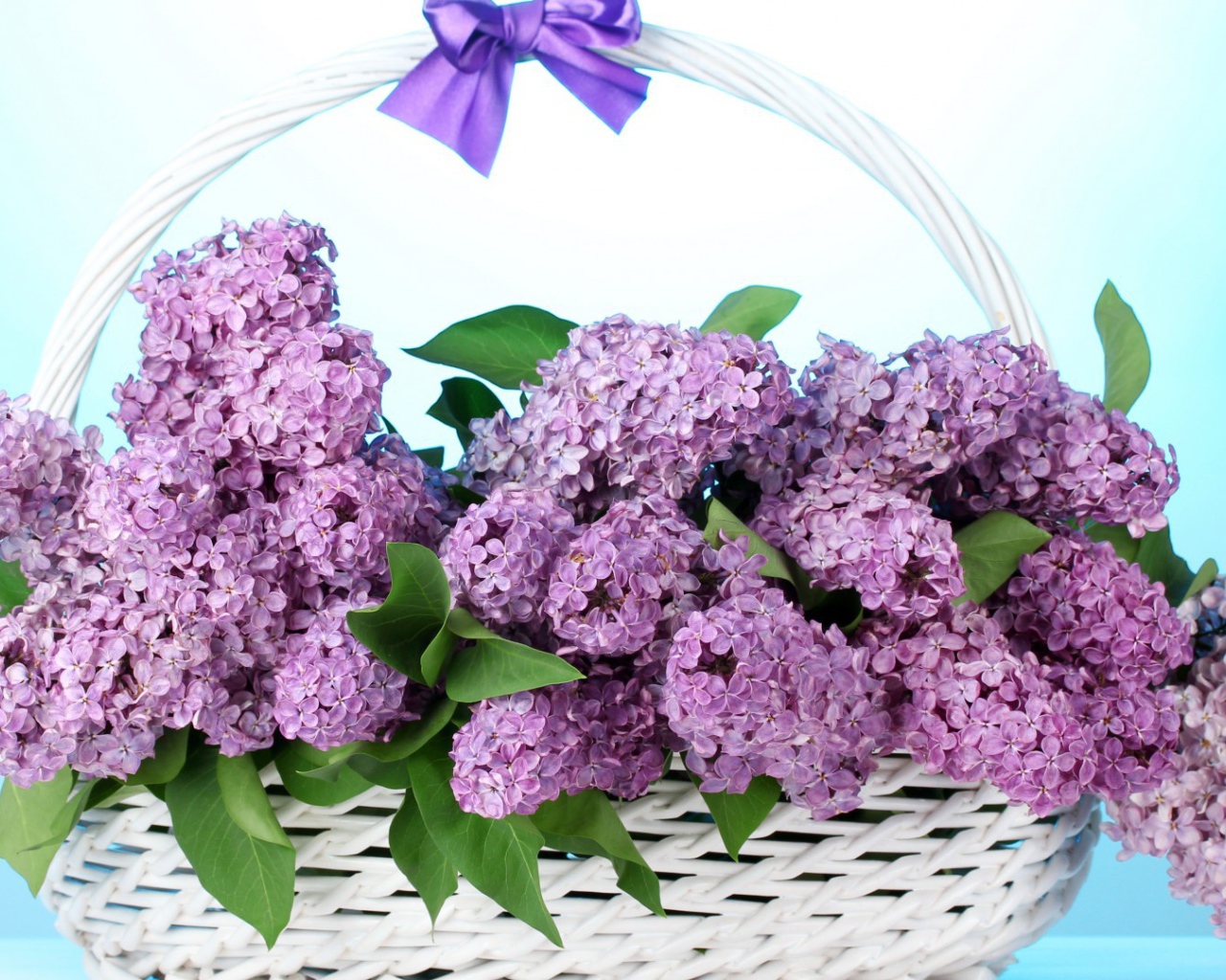 Сирень в корзине