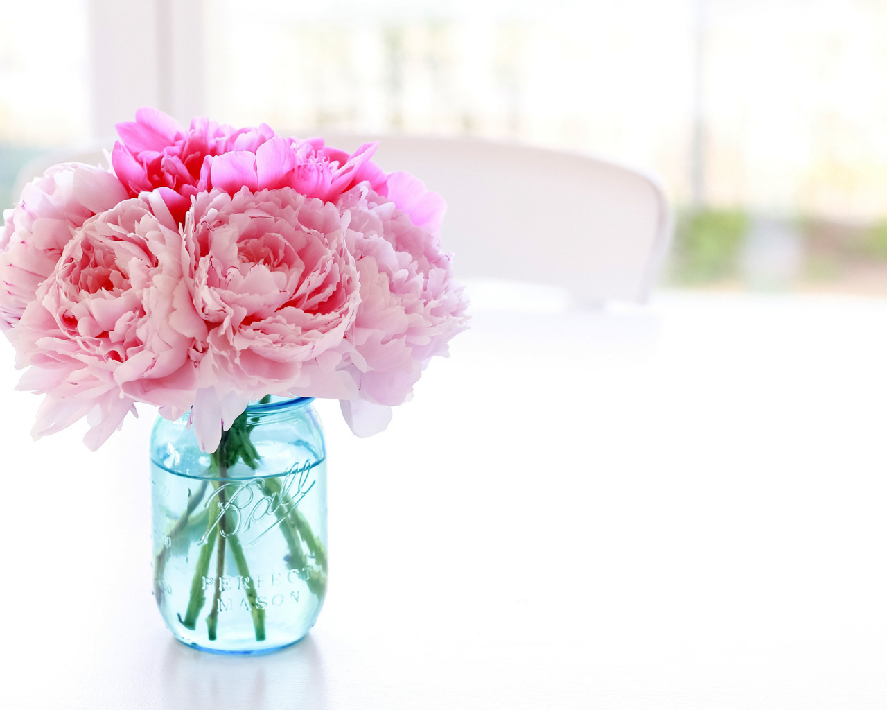 Цветы пионы в банке