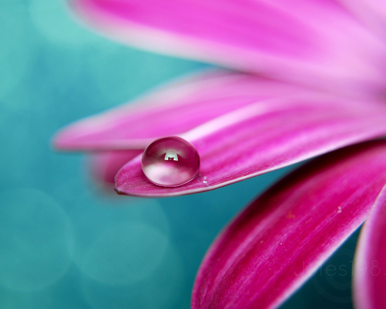 Идеальная роса