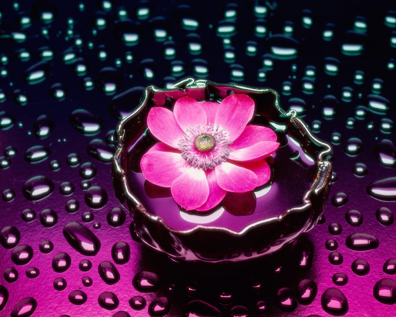 Лепестки и вода