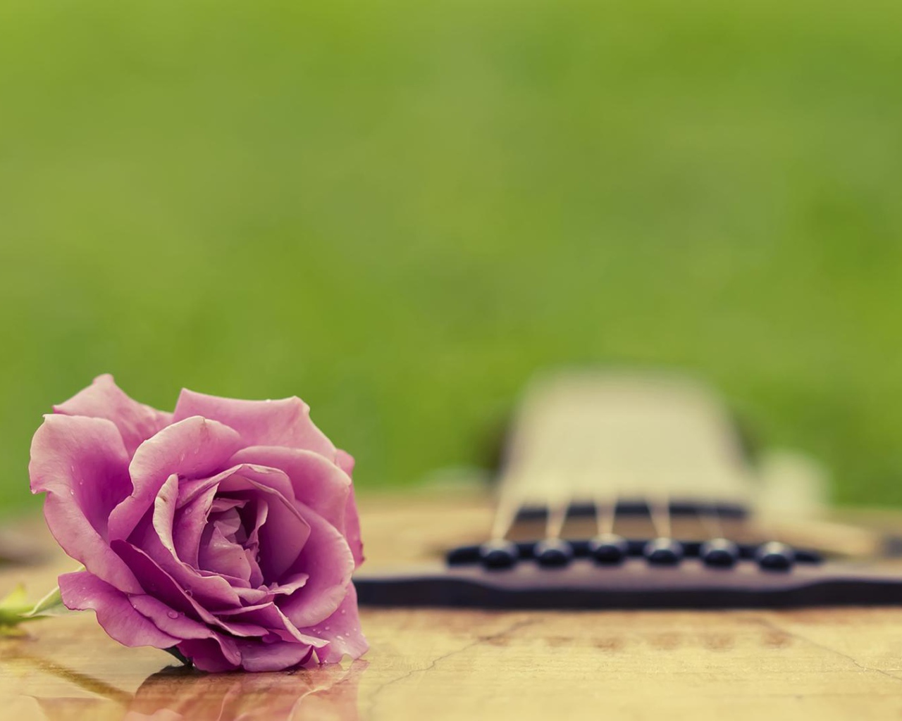 Фиолетовая роза на гитаре