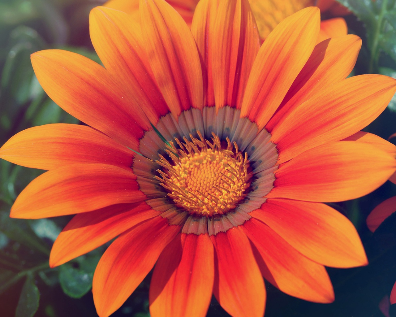 Весенняя любовь