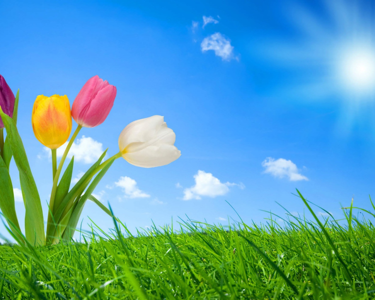 Весення природа