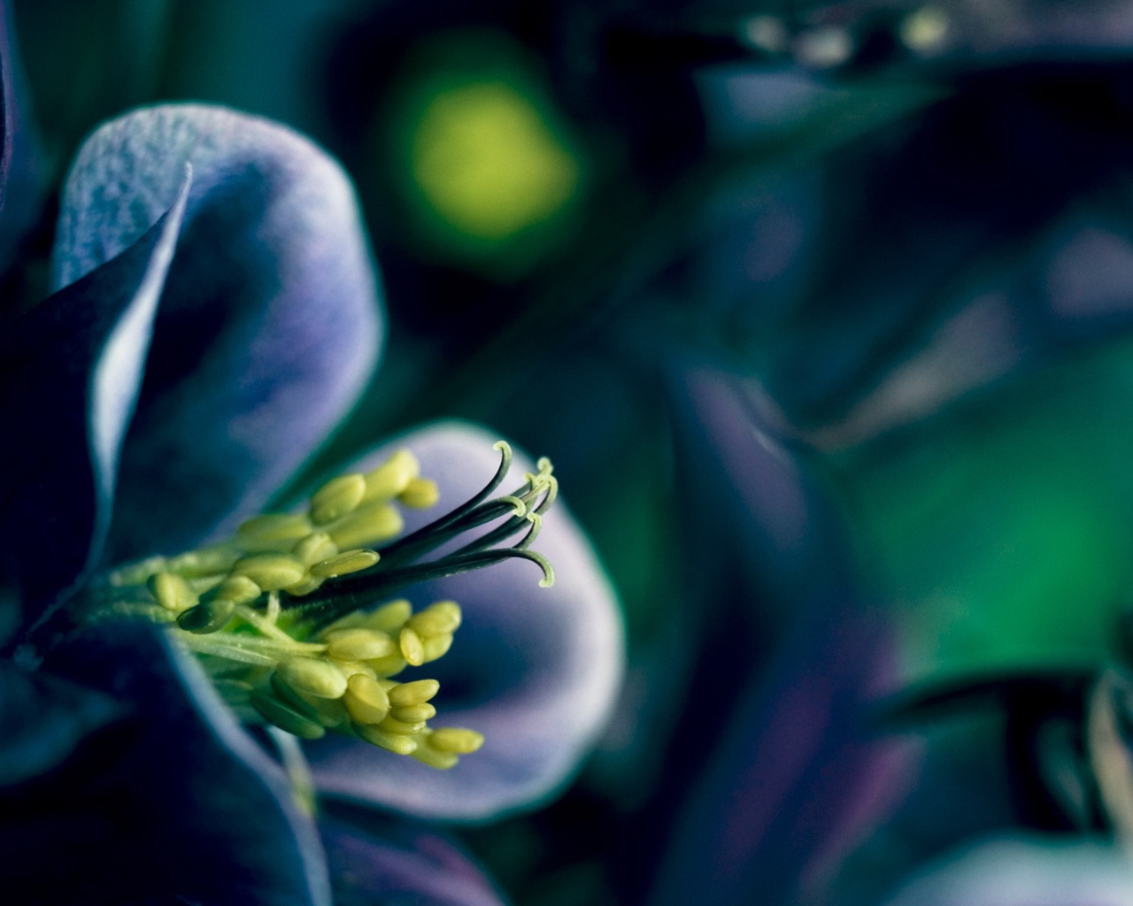 Время весны